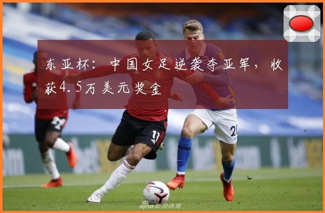 东亚杯:中国女足逆袭夺亚军,收获4.5万美元奖金