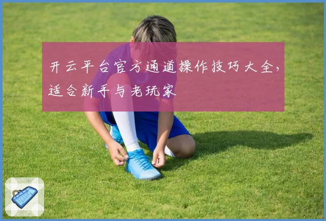 开云平台官方通道操作技巧大全，适合新手与老玩家