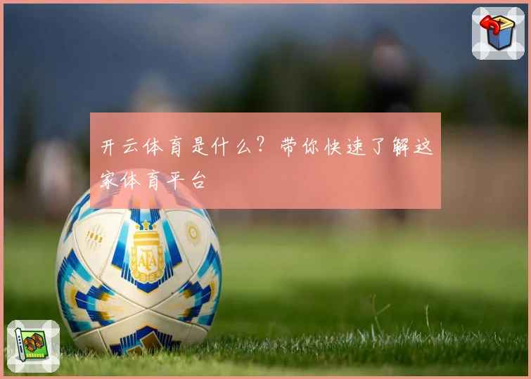开云体育是什么?带你快速了解这家体育平台