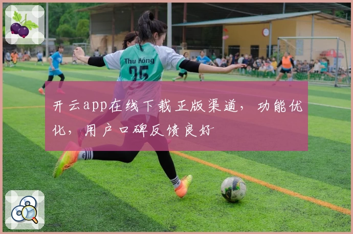开云app在线下载正版渠道，功能优化，用户口碑反馈良好