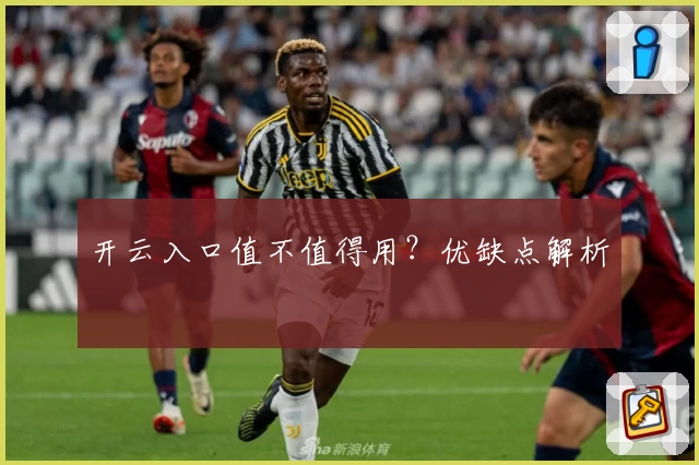 开云入口值不值得用？优缺点解析