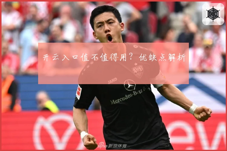 开云入口值不值得用？优缺点解析