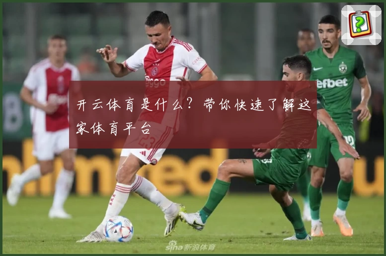 开云体育是什么？带你快速了解这家体育平台