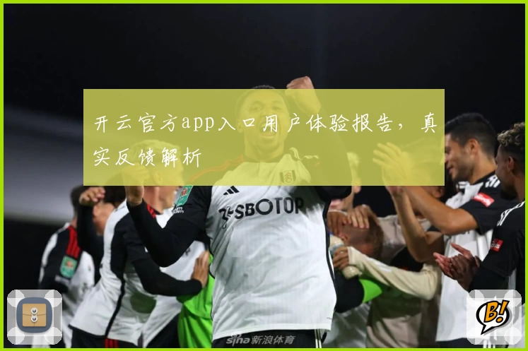 开云官方app入口用户体验报告，真实反馈解析