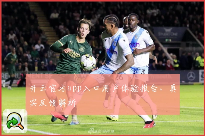 开云官方app入口用户体验报告，真实反馈解析